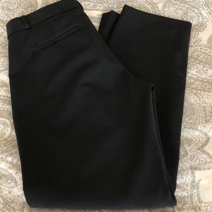 Banana Republic Ryan Fit Dress Slacks 10R